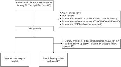 Serum 25-hydroxyvitamin D as a predictive biomarker of clinical outcomes in patients with primary membranous nephropathy